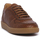 Sapatos Homem Sapatilhas Exton SIENA STAMP Castanho