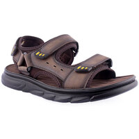 Sapatos Homem Sandálias Uauh! M Sandals Comfort Castanho