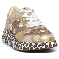 Sapatos Mulher Sapatilhas Laura Vita NIKITO 52 Cinza