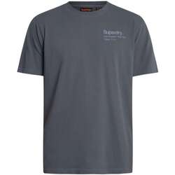 Textil Homem T-Shirt mangas curtas Superdry T-shirt Core Logo City Cinza