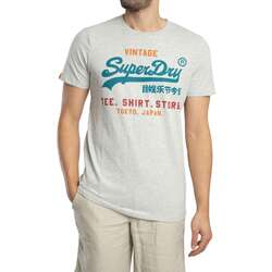 Textil Homem T-Shirt mangas curtas Superdry T-Shirt descontraída vintage Cinza