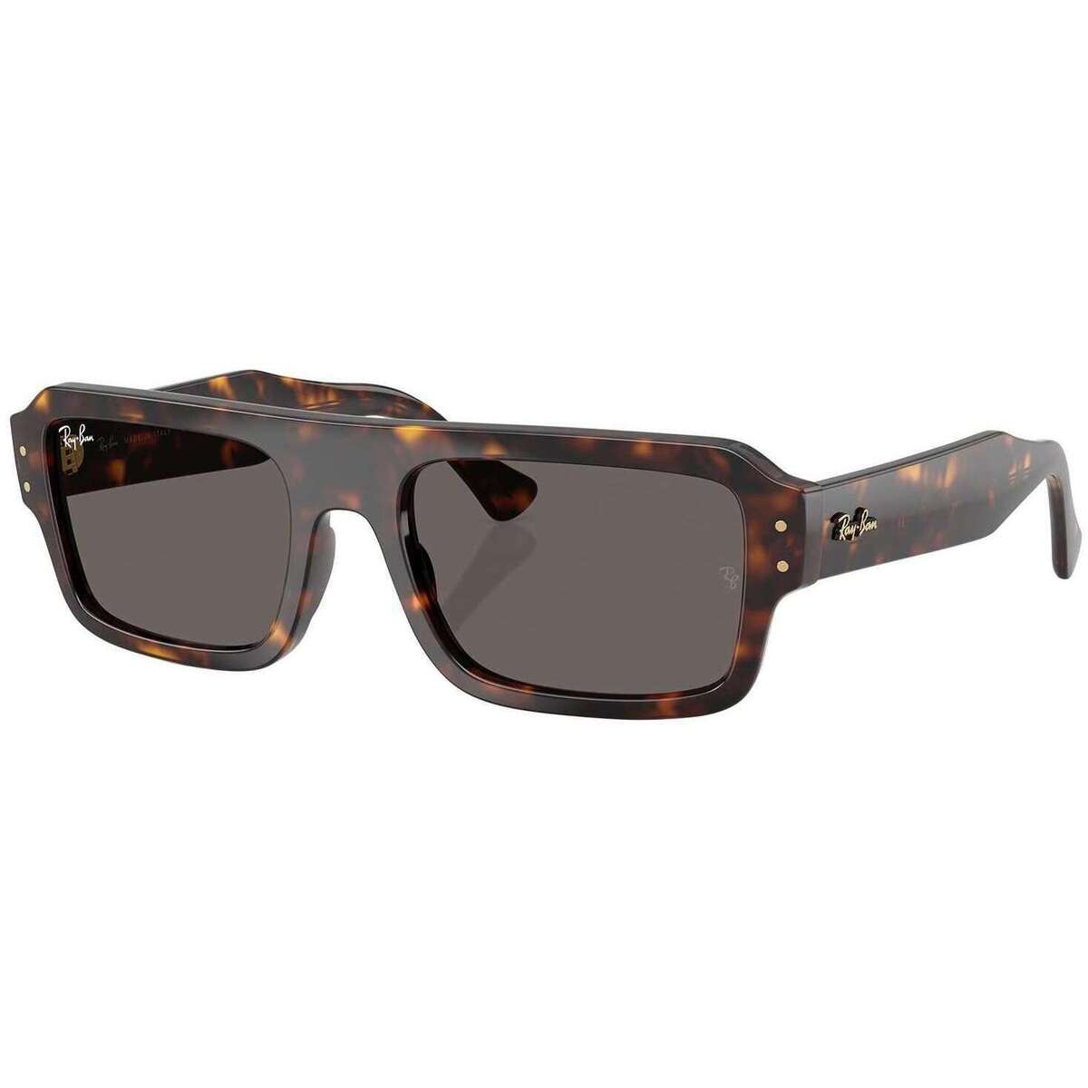 Relógios & jóias Homem óculos de sol Ray-ban Lukas Bio Based Rectangle Sunglasses Castanho
