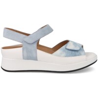 Sapatos Mulher Sandálias Piesanto  Azul