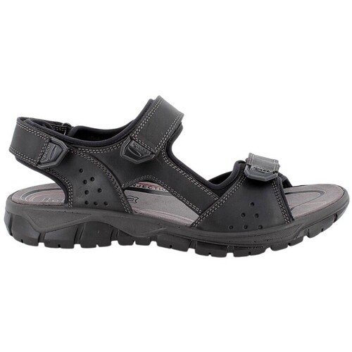 Sapatos Homem Sandálias IgI&CO 7645000 Preto