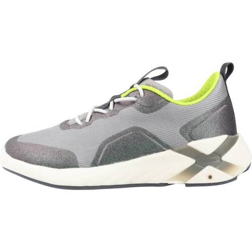 Sapatos Rapaz Sapatilhas Geox J PLAYKIX BOY Cinza