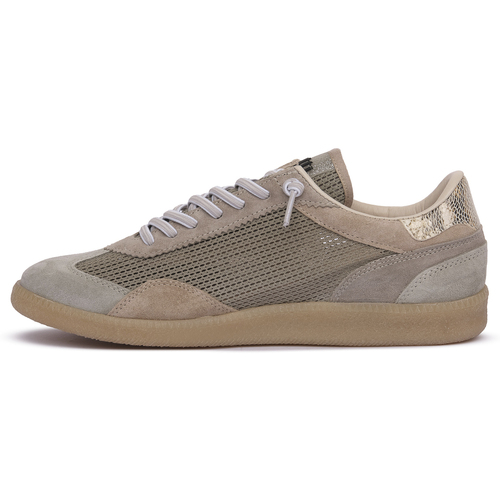 Cetti ANTE WASABI Verde