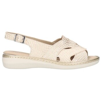 Sapatos Mulher Sandálias Pitillos 10301 Mujer Dorado Ouro