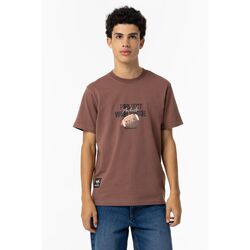 Textil Rapaz T-shirts e Pólos Tiffosi 10060146-291-21-25 Castanho