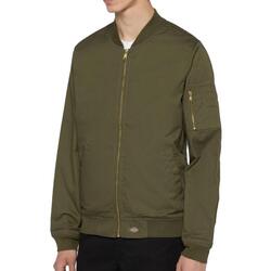 Textil Homem Casacos/Blazers Dickies  Verde