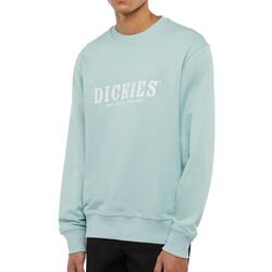 Textil Homem Sweats Dickies  Verde