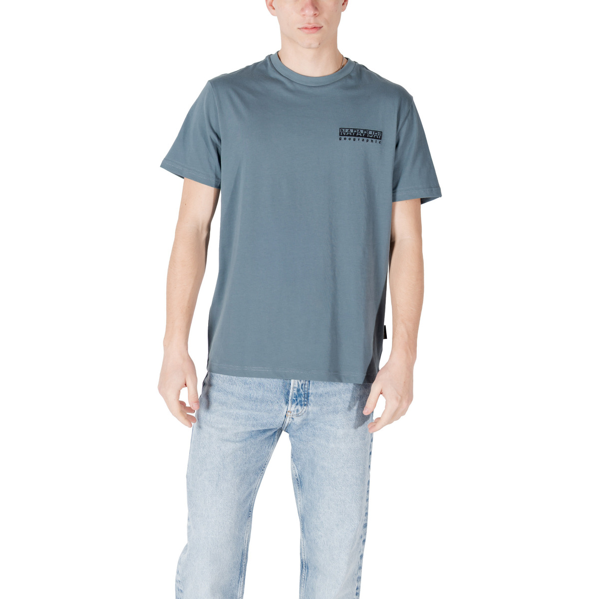 Textil Homem Polos mangas compridas Napapijri S-VIGNONI BACK SS NP0A4ILX Cinza