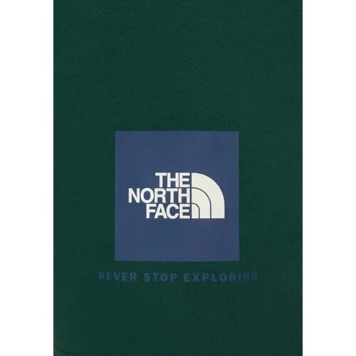 The North Face NF0A8C1J Verde