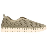Sapatos Mulher Escarpim Ilse Jacobsen TULIP3275 Mujer Kaki Verde