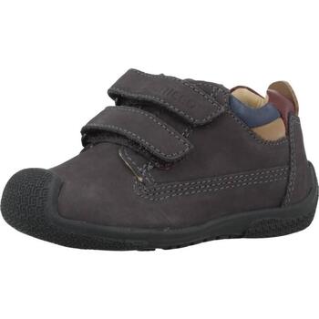 Sapatos Rapaz Sapatos & Richelieu Chicco GEREMY Azul