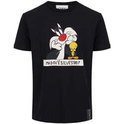 Textil Homem T-shirts e Pólos Iceberg  Preto