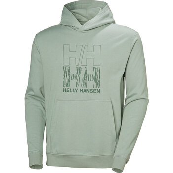 Helly Hansen CORE GRAPHIC SWEAT HOODIE