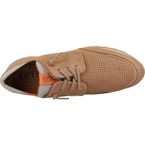 Cetti C1275NOB Castanho