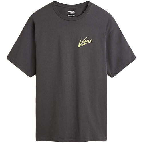 Textil Homem Camisas mangas curtas Vans DETTORI LOOSE SS Cinza