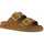 Sapatos Mulher Sandálias Colors of California Two buckle sandal with studs Castanho