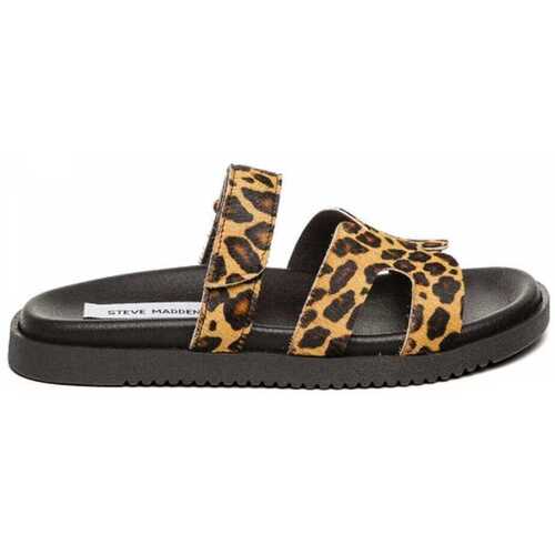 Sapatos Mulher Sandálias Steve Madden Missile-lc Multicolor