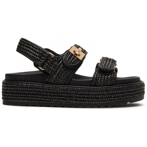 Sapatos Mulher Sandálias Steve Madden Bigmona Preto
