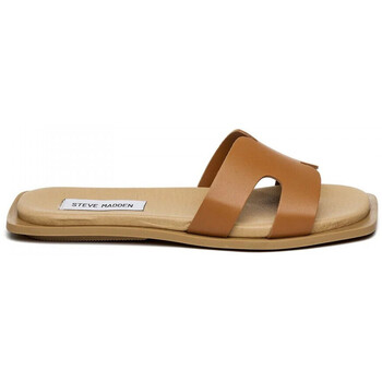 Sapatos Mulher Sandálias Steve Madden Sofia Castanho