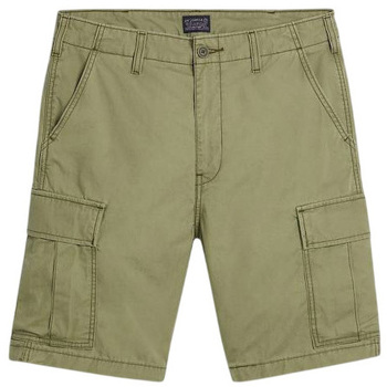 Textil Homem Shorts / Bermudas Levi's 001KG0013 Verde