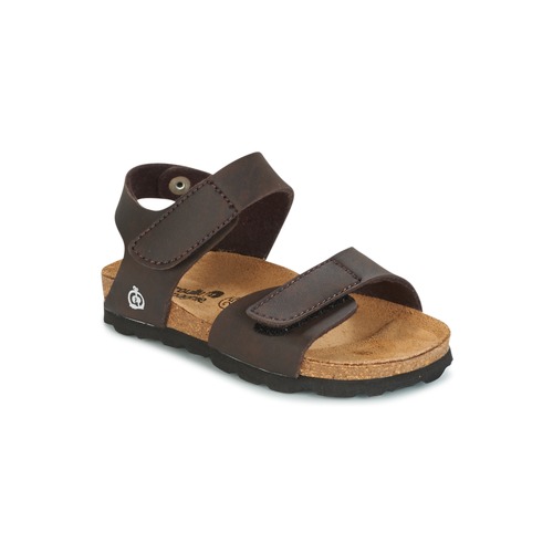 Sapatos Rapaz Sandálias Citrouille et Compagnie BELLI JOE Castanho