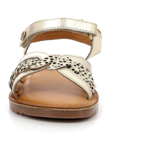 Kickers Bety Ouro