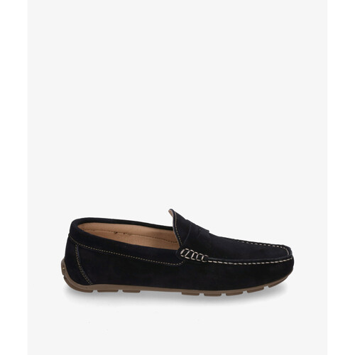 Sapatos Homem Sapatos & Richelieu Traveris 33720 Azul