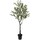 Casa Plantas e Flores Artificiais  Signes Grimalt Oliveira S Verde