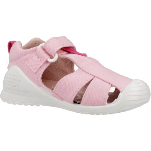 Biomecanics 252189B Rosa