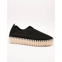 Sapatos Mulher Sapatilhas Ilse Jacobsen  Preto