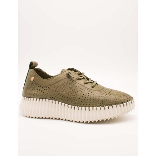 Sapatos Mulher Sapatilhas Carmela  Verde
