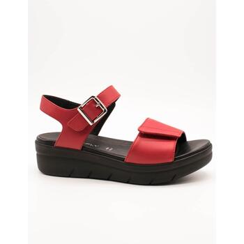 Sapatos Mulher Sandálias Stonefly  Vermelho