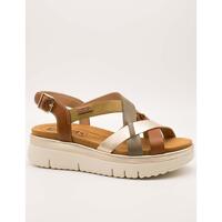Sapatos Mulher Sandálias Pikolinos  Castanho