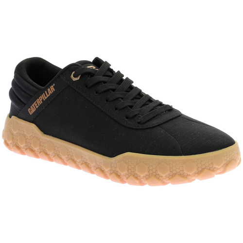 Sapatos Sapatilhas Caterpillar Hex + Canvas Preto