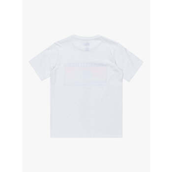 Quiksilver 
