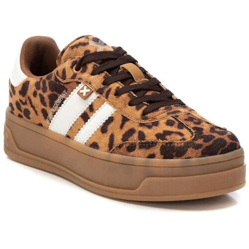 Xti 14364408 Multicolor