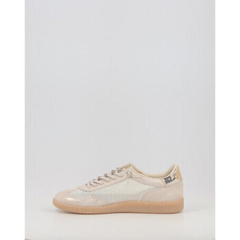 Cetti 1385 Prata