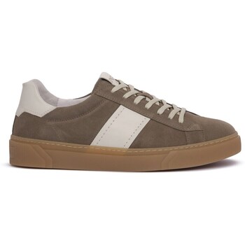 Sapatos Homem Sapatilhas NeroGiardini 501 Arold Velo Castanho