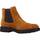 Sapatos Mulher Botas Geox D SPHERICA EC1 Castanho