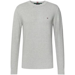 Textil Homem camisolas Tommy Hilfiger MW0MW29035 