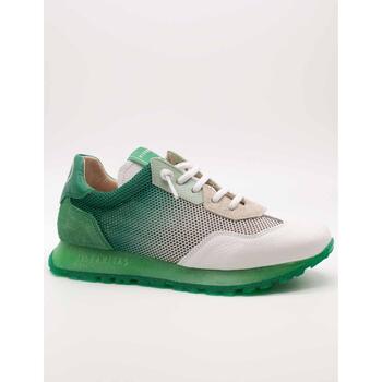 Sapatos Mulher Sapatilhas Hispanitas  Verde