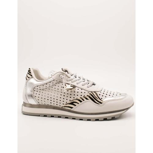 Sapatos Mulher Sapatilhas Cetti  Branco
