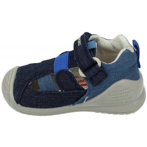 Biomecanics  Azul