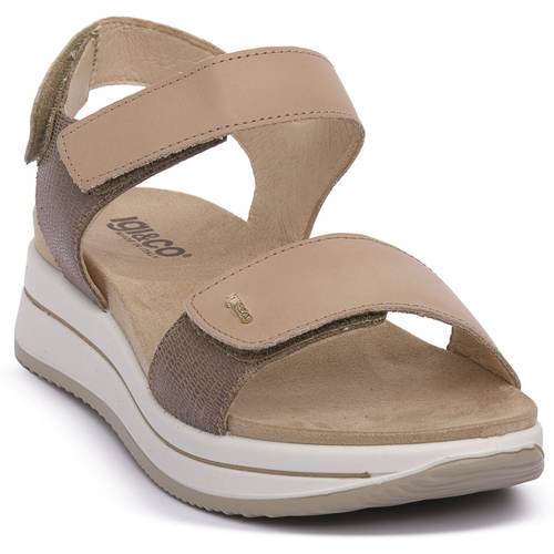 Sapatos Mulher Sandálias IgI&CO SINDY CASTORO Castanho