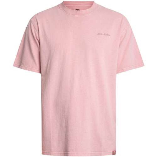 Textil Homem T-Shirt mangas curtas Dickies T-Shirt Plentywood Rosa