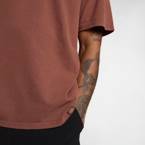 Dickies DK0A4Z8WK471 ROPE CHEST LOGO SS TEE Castanho