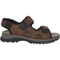 Sapatos Homem Sandálias Waldläufer H-Taro Castanho